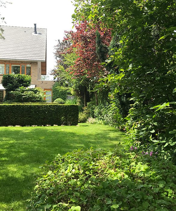 tuin-gezien-vanaf-het-tuinhuis