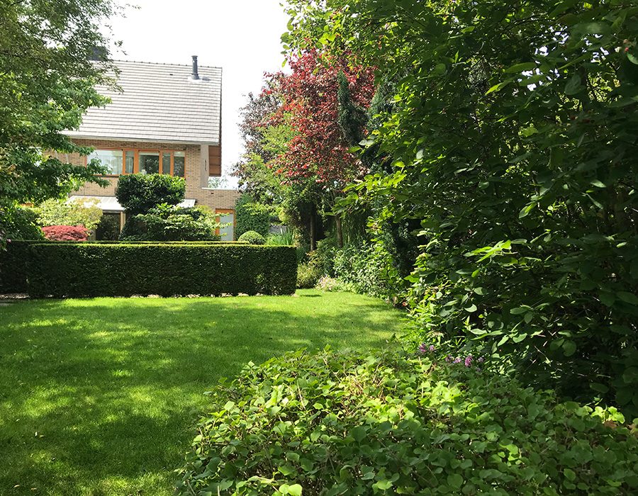 tuin-gezien-vanaf-het-tuinhuis